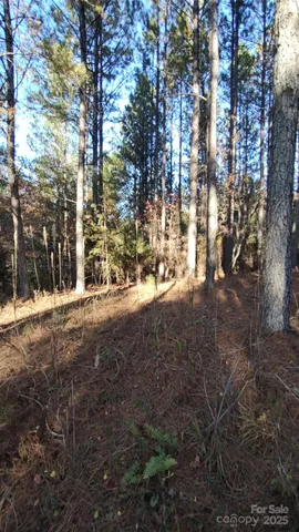 $64,500 | 116 Cranberry Lane, Mooresboro, NC 28114