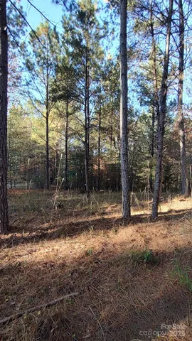 $64,500 | 116 Cranberry Lane, Mooresboro, NC 28114