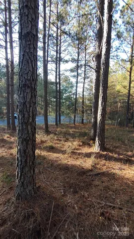 $64,500 | 116 Cranberry Lane, Mooresboro, NC 28114