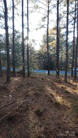 $64,500 | 116 Cranberry Lane, Mooresboro, NC 28114