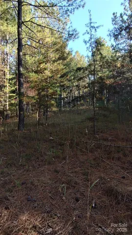 $64,500 | 116 Cranberry Lane, Mooresboro, NC 28114