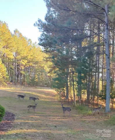 $64,500 | 116 Cranberry Lane, Mooresboro, NC 28114