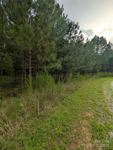 $64,500 | 116 Cranberry Lane, Mooresboro, NC 28114