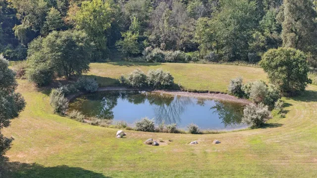 $599,900 | 2280 Swan Road, Dansville, MI 48819