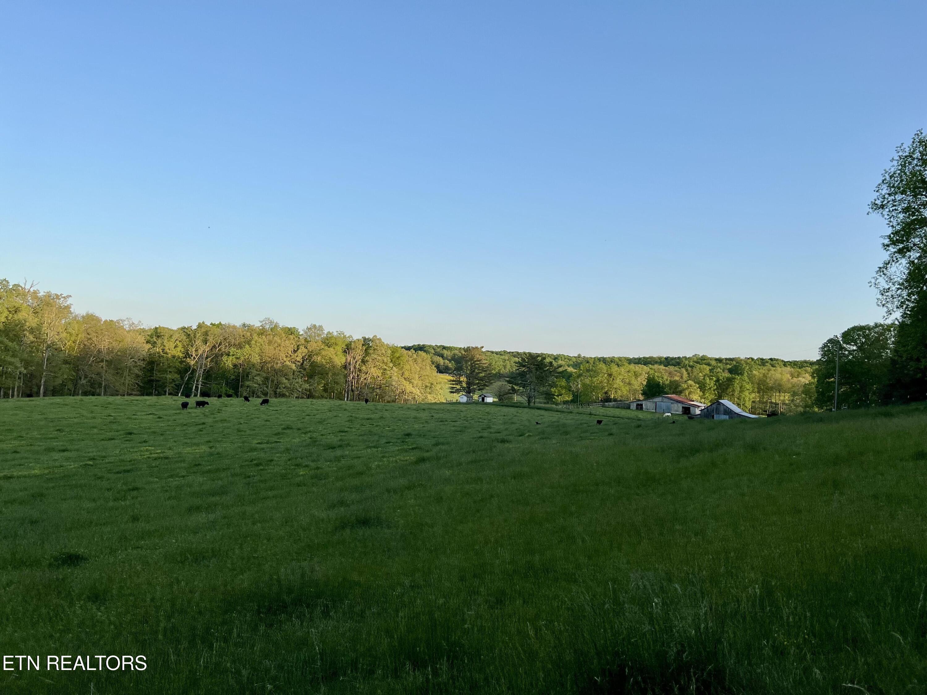 461 John Myers Road Crossville, TN 38572 - Photo 23 of 31 beyc68ae09d973804