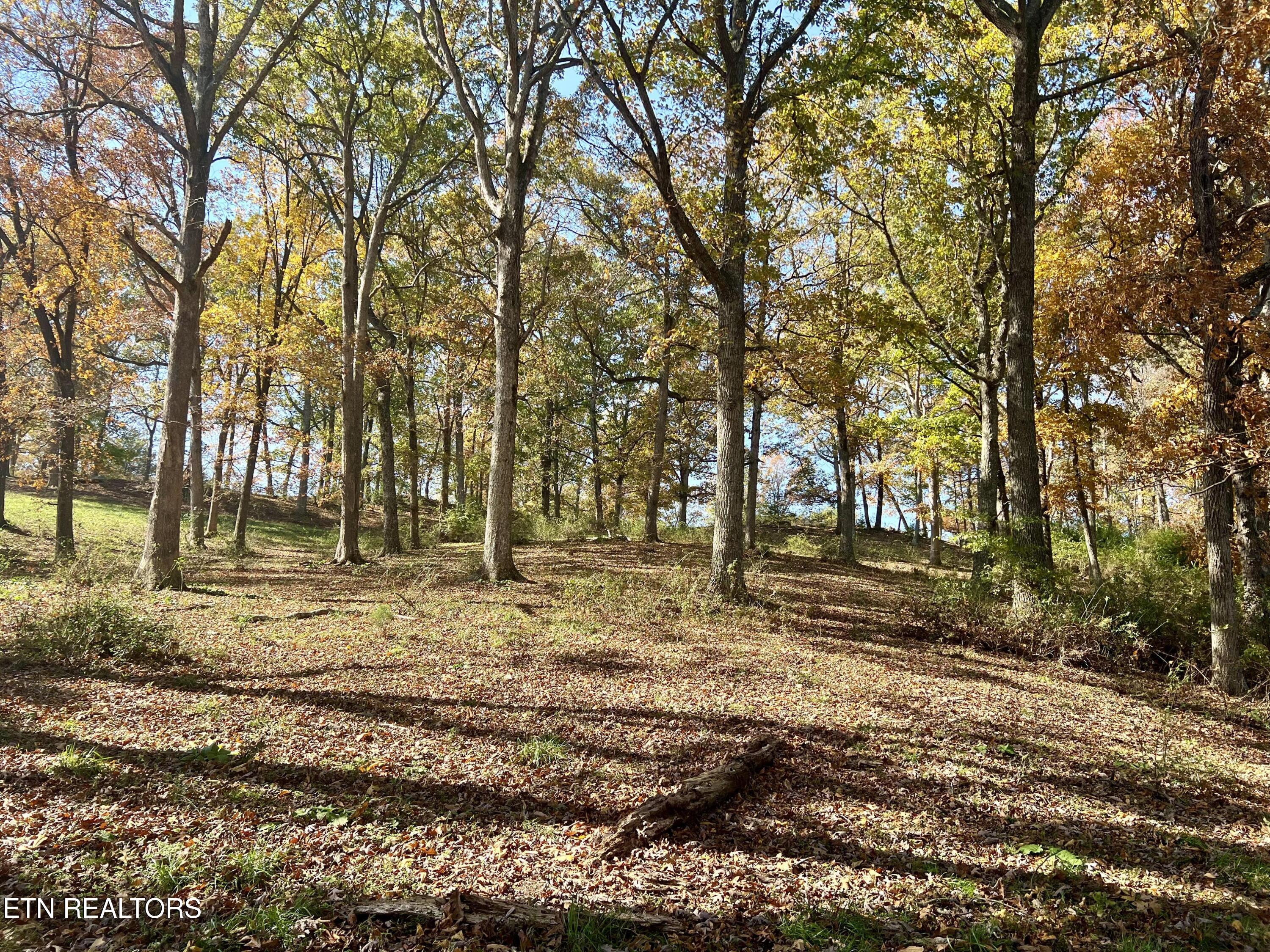 461 John Myers Road Crossville, TN 38572 - Photo 24 of 31 beyc68ae0ba9ec408