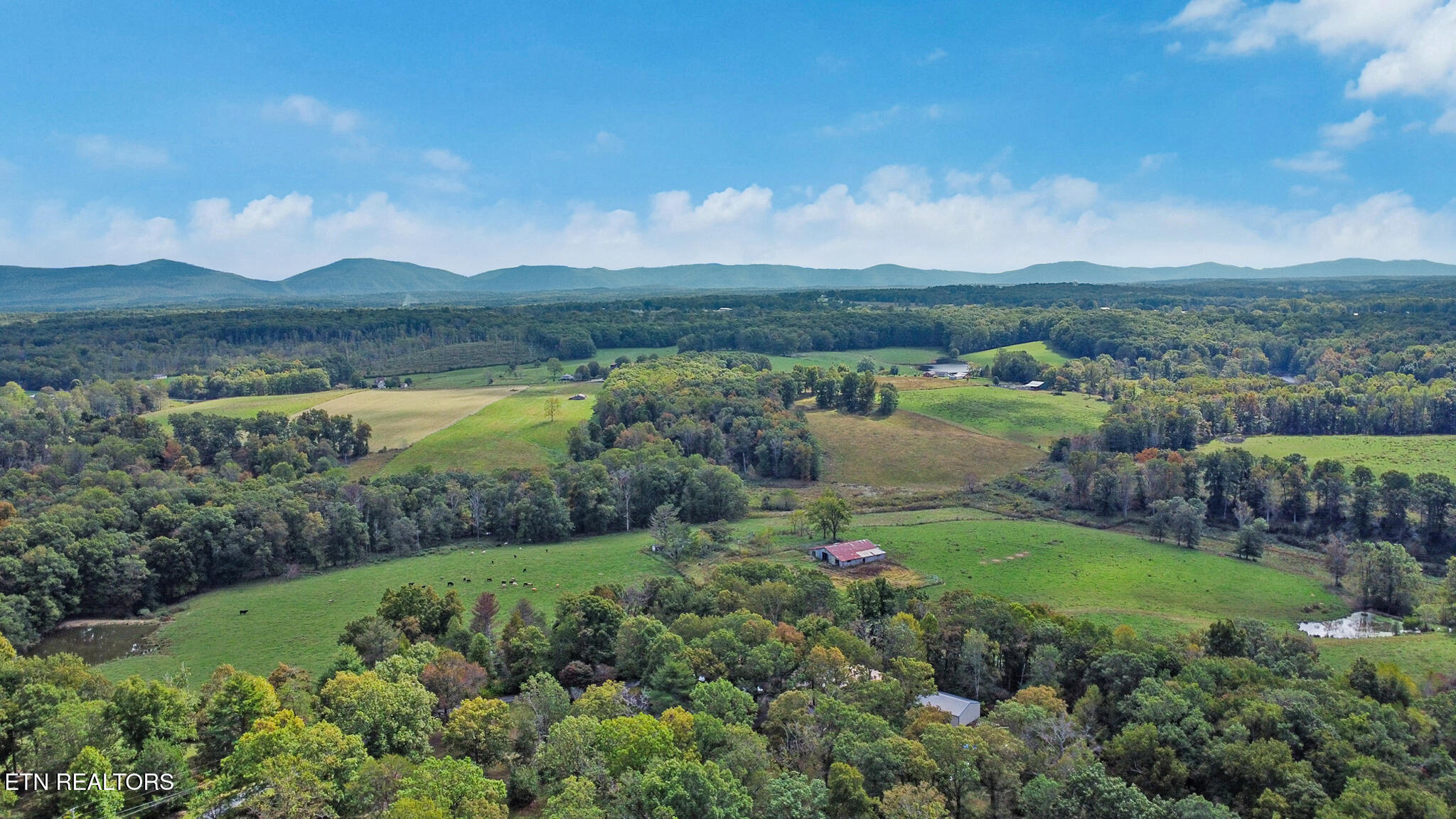 461 John Myers Road Crossville, TN 38572 - Photo 27 of 31 beyc68eff9cf82640