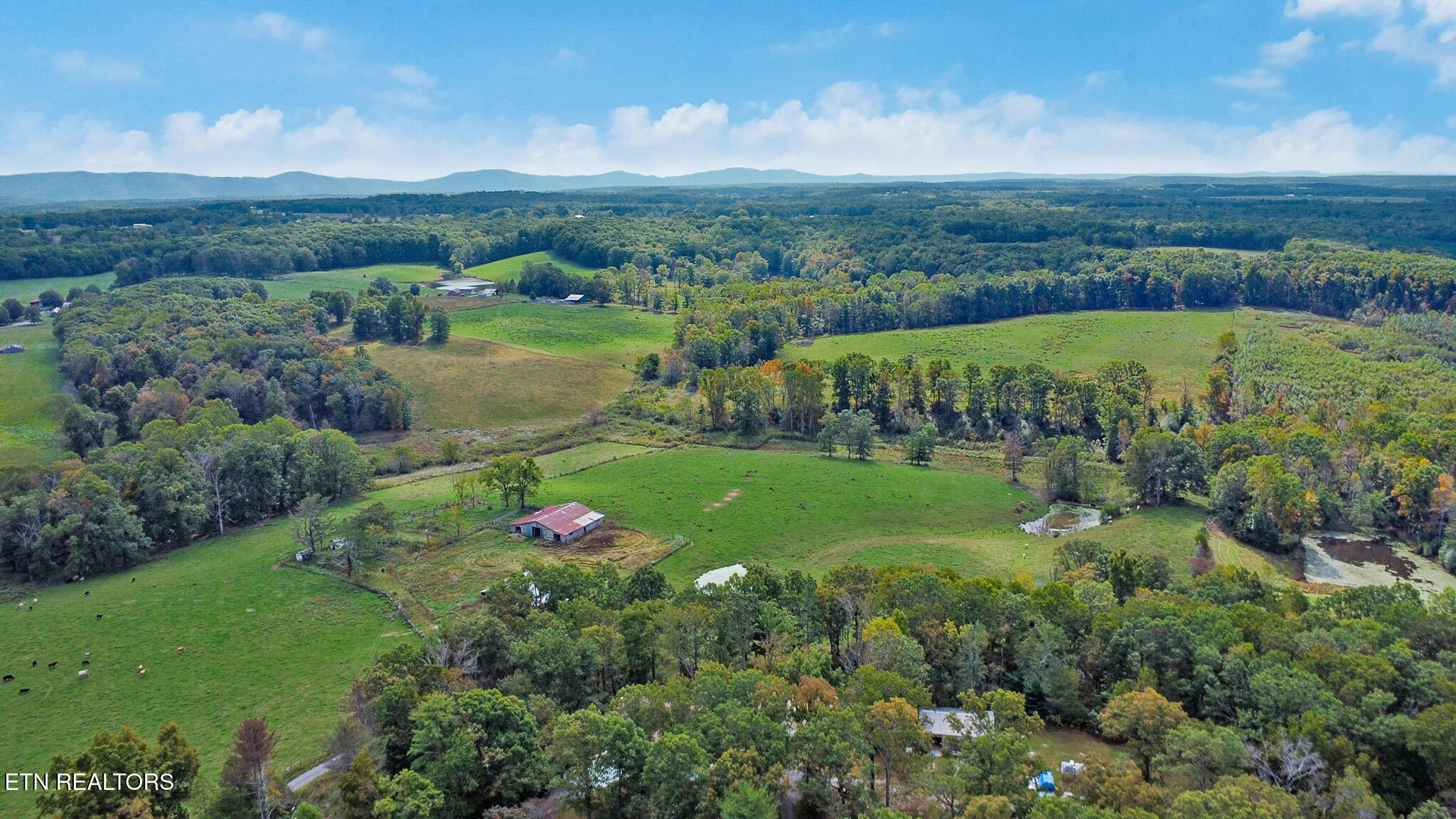 461 John Myers Road Crossville, TN 38572 - Photo 28 of 31 beyc68eff9d634a83