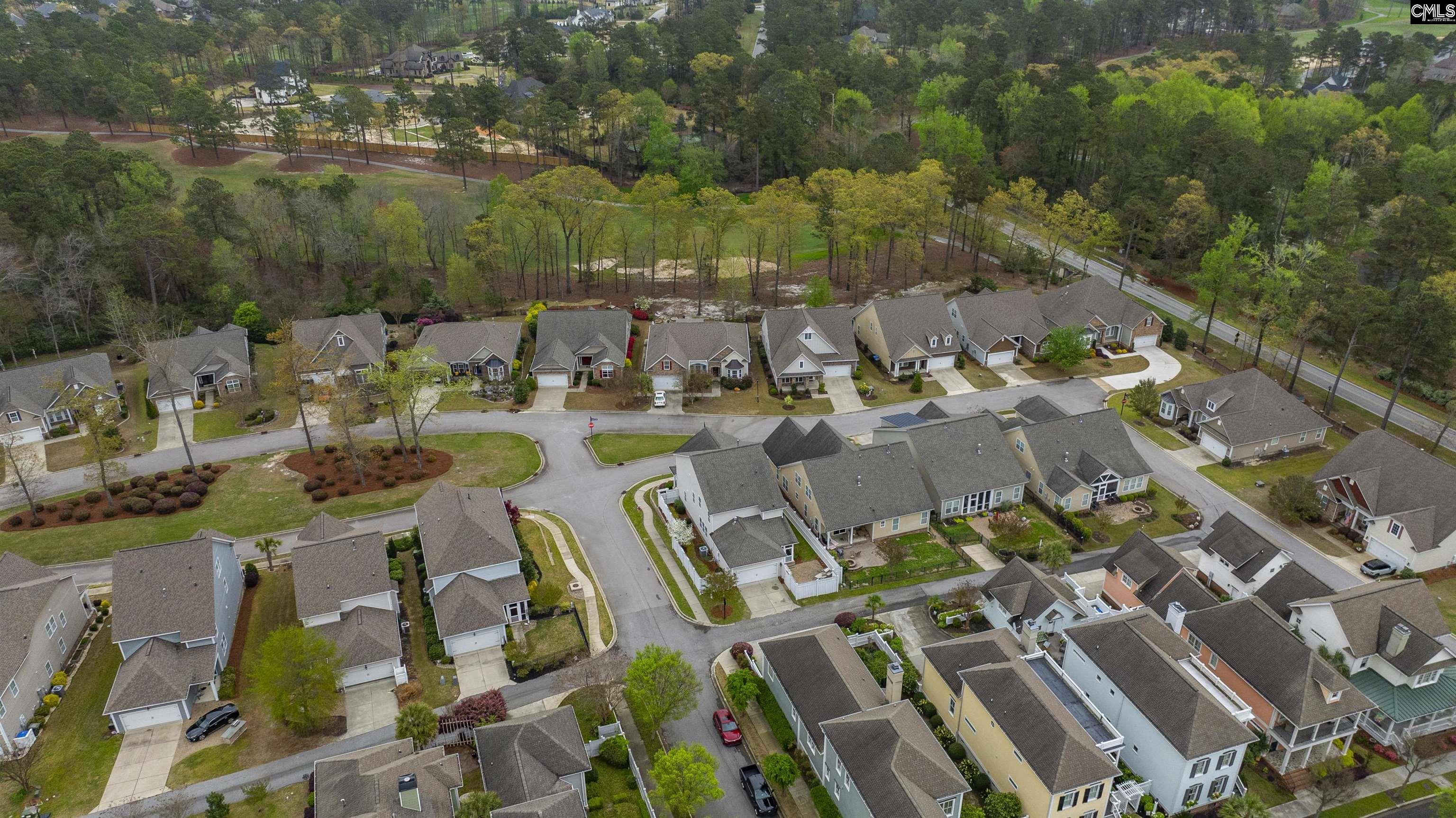 250 Thacher Loop Elgin, SC 29045 - Photo 66 of 73