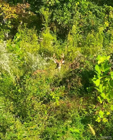 $400,000 | 0 Twin Ridge Road, House Springs, MO 63051