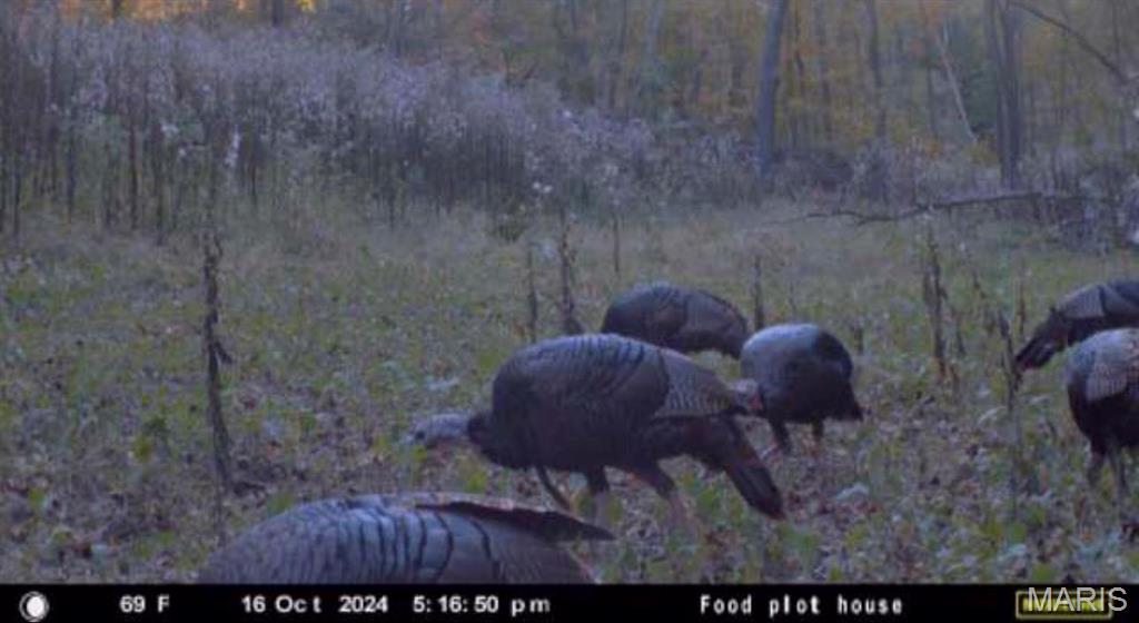 0 Twin Ridge Road House Springs, MO 63051 - Photo 8 of 10