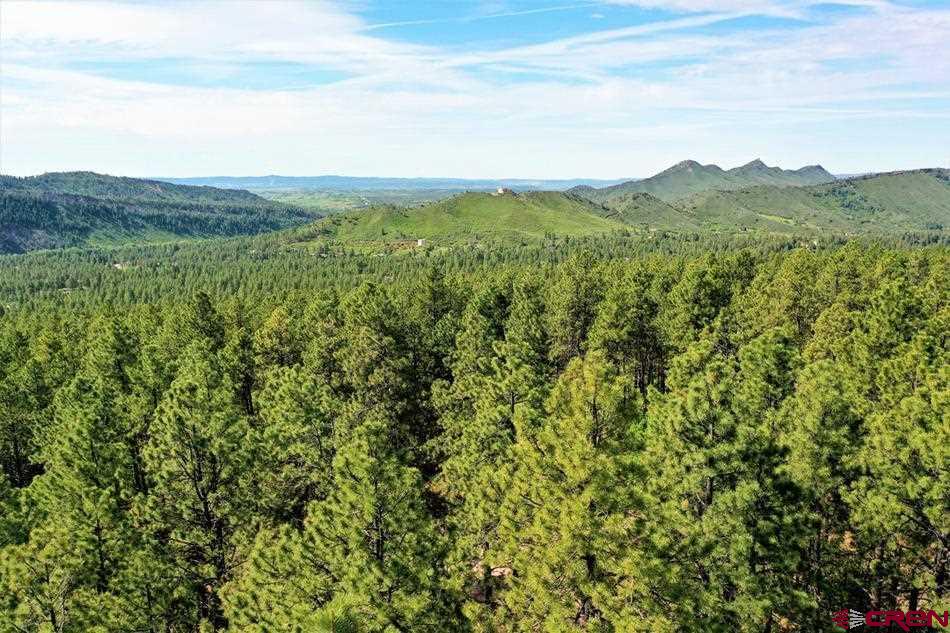 1431 Nusbaum Road Durango, CO 81301 - Photo 26 of 27 Gallery Image 26