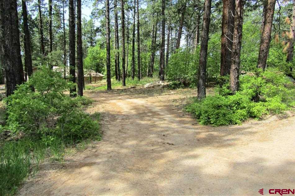 1431 Nusbaum Road Durango, CO 81301 - Photo 5 of 27 Gallery Image 5