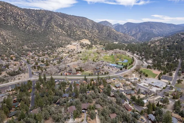 a view of a forest with mountains in the background