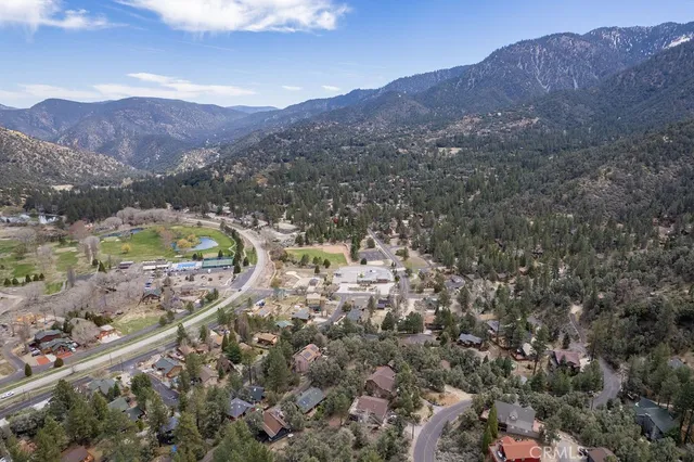 a view of a forest with a dry yard and mountain view