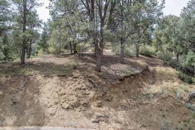 a view of dirt yard with a tree