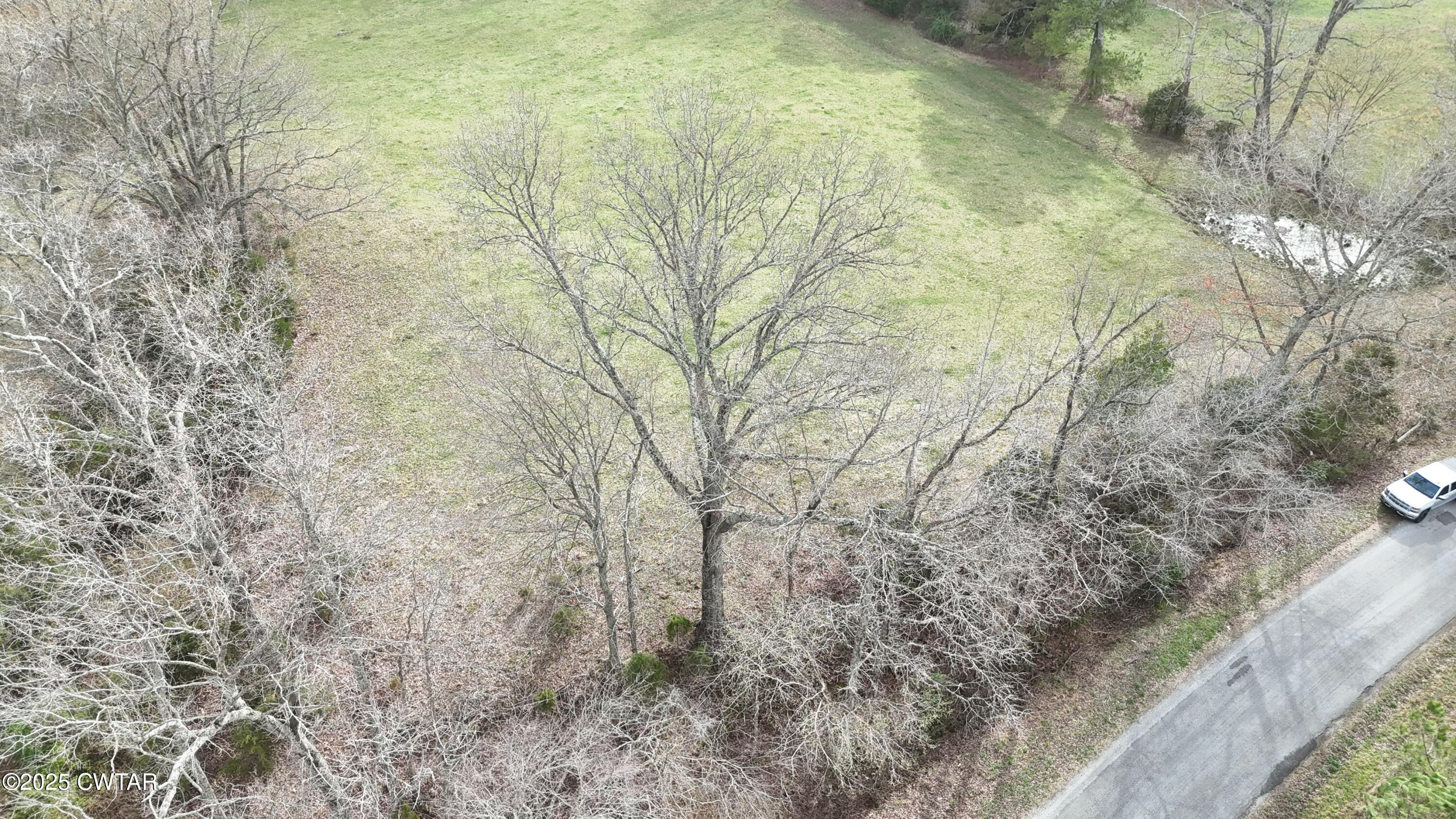 3 Brazil Bottom Road Lexington, TN 38351 - Photo 4 of 6