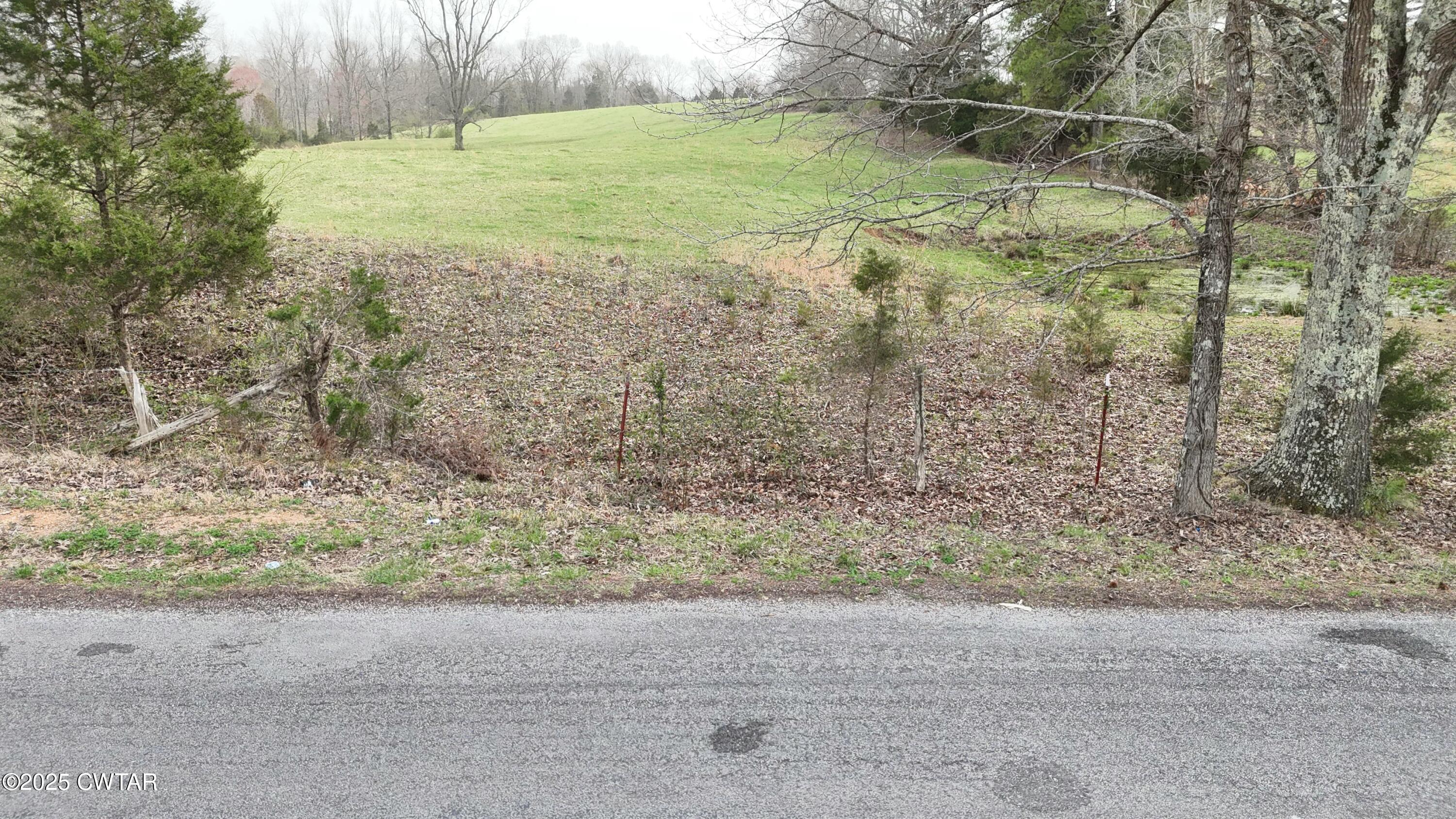 3 Brazil Bottom Road Lexington, TN 38351 - Photo 6 of 6 a backyard of a house with lots of green space