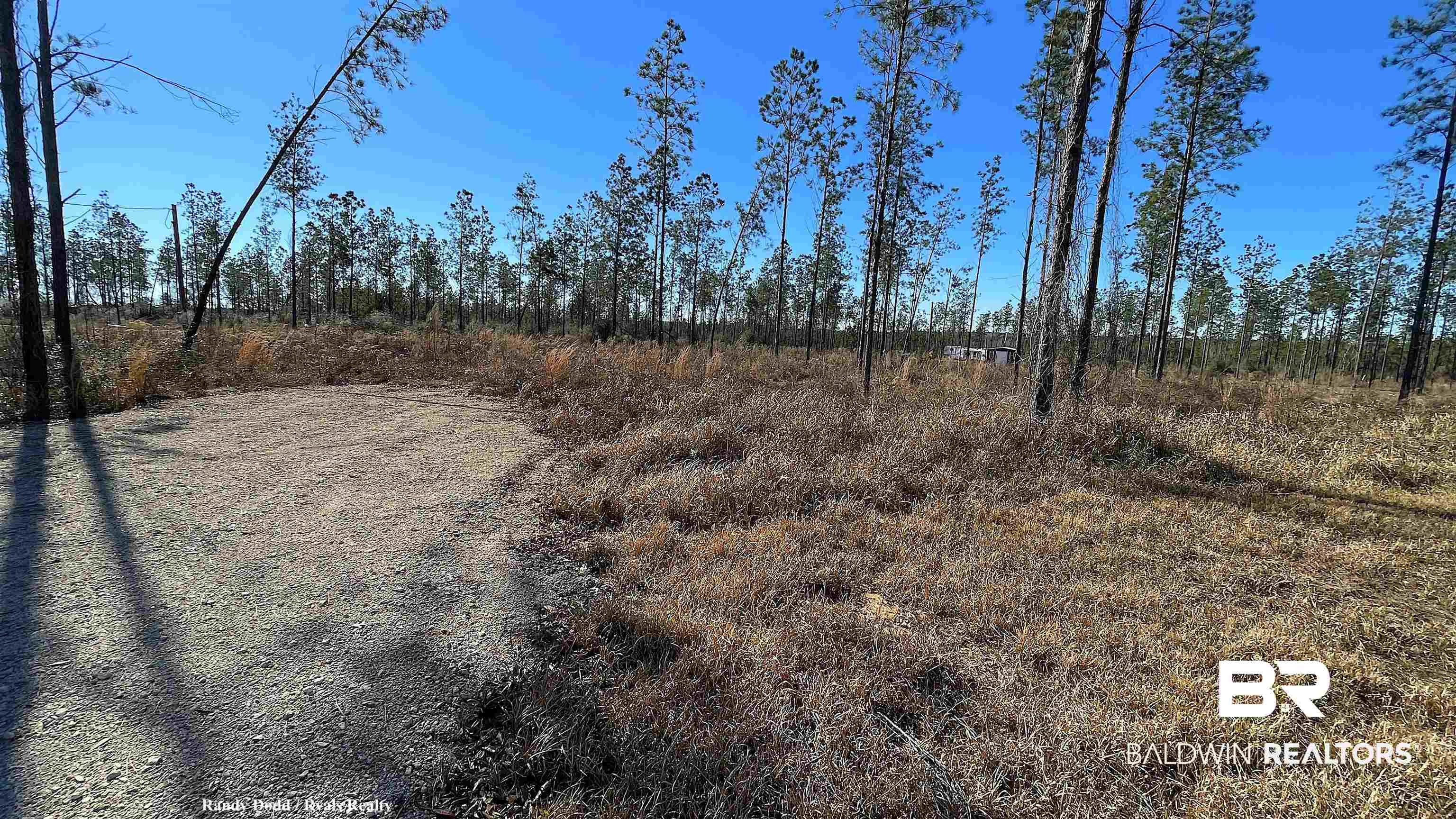 24664 Linholm Road Robertsdale, AL 36567 - Photo 3 of 7