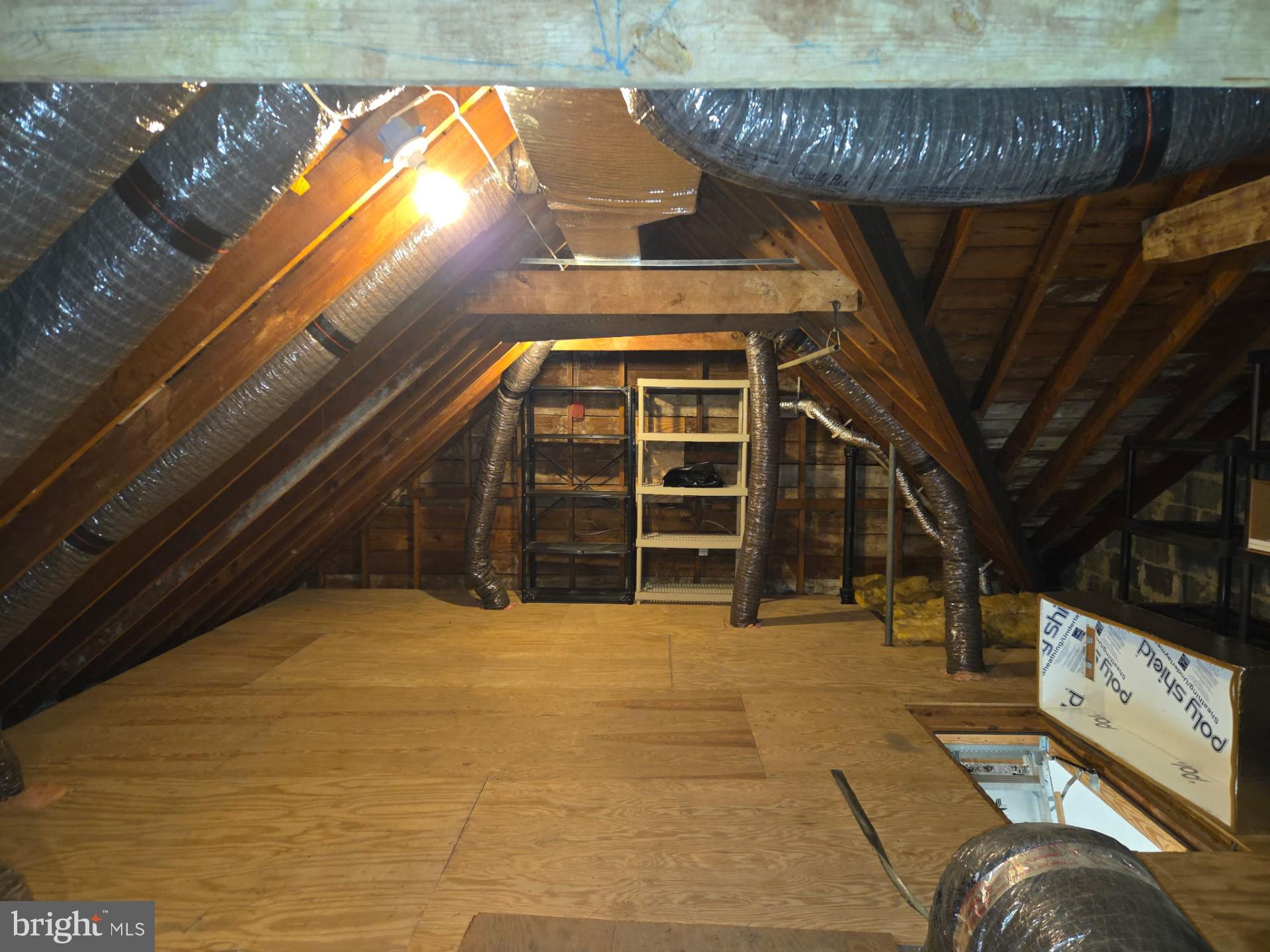47 Dunkirk Road Baltimore, MD 21212 - Photo 43 of 43 Plenty of storage with pull down stairs
