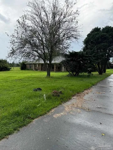 a view of a park with large trees