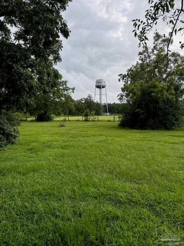a view of yard with flowers and large trees