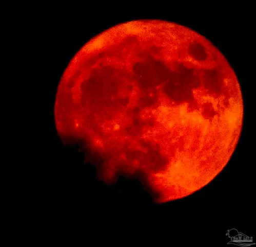 a large kitchen with a large island in the center a sink stainless steel appliances and cabinets