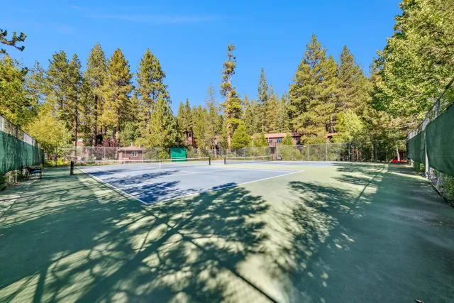 a view of a backyard with large trees
