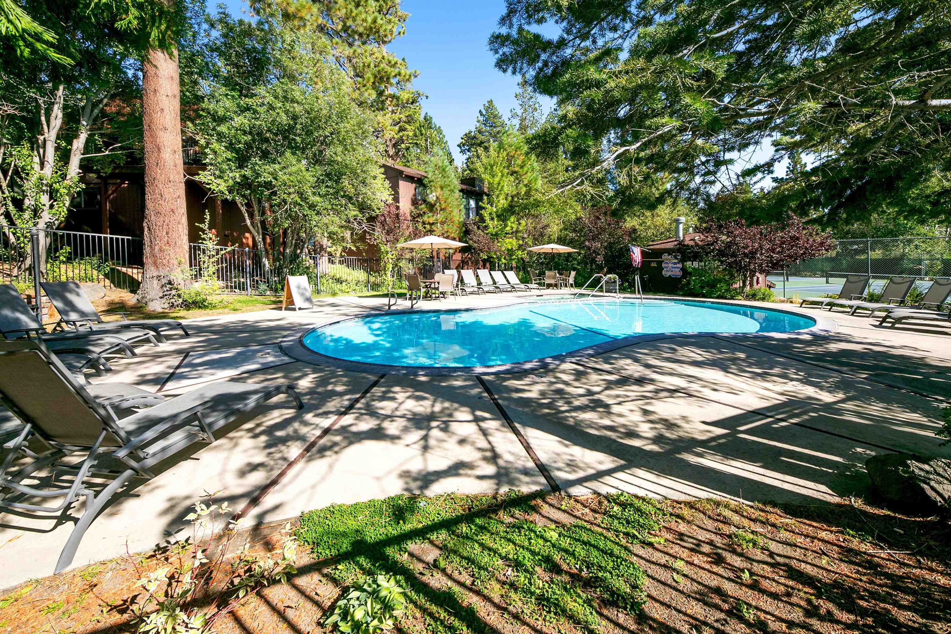 2560 Lake Forest Road, Unit 24 Tahoe City, CA 96145 - Photo 26 of 28 a view of a backyard with large trees