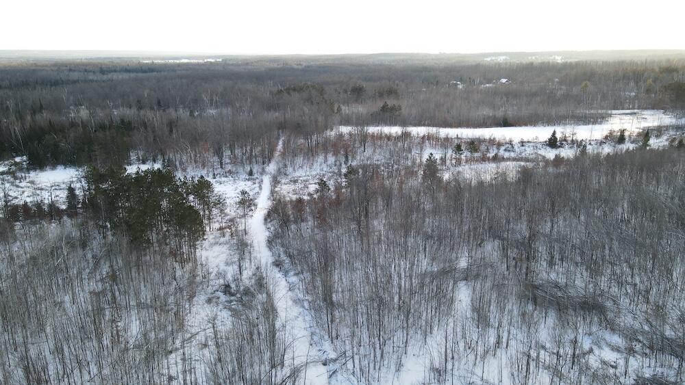 152-acres West Miller Road Mio, MI 48647 - Photo 40 of 137 DJI_0490