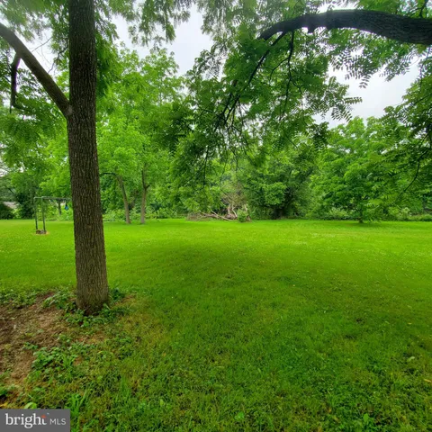 a view of a garden with a tree
