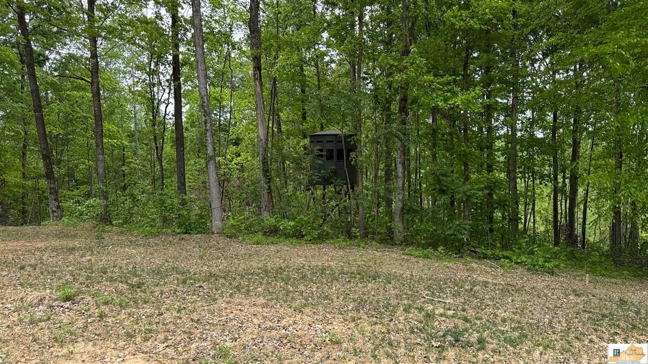 0 Black Beard Road Edmonton, KY 42129 - Photo 16 of 44 Gallery Image 16