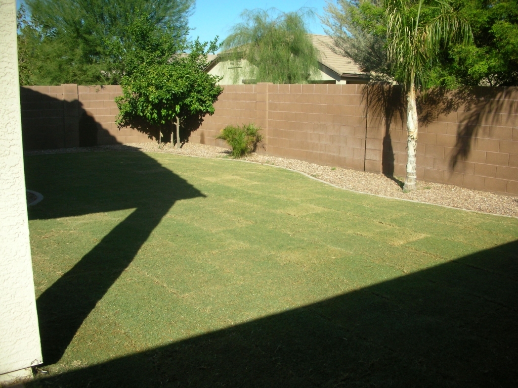 4626 East Murrieta Road Gilbert, AZ 85297 - Photo 17 of 18 BACKYARD 1