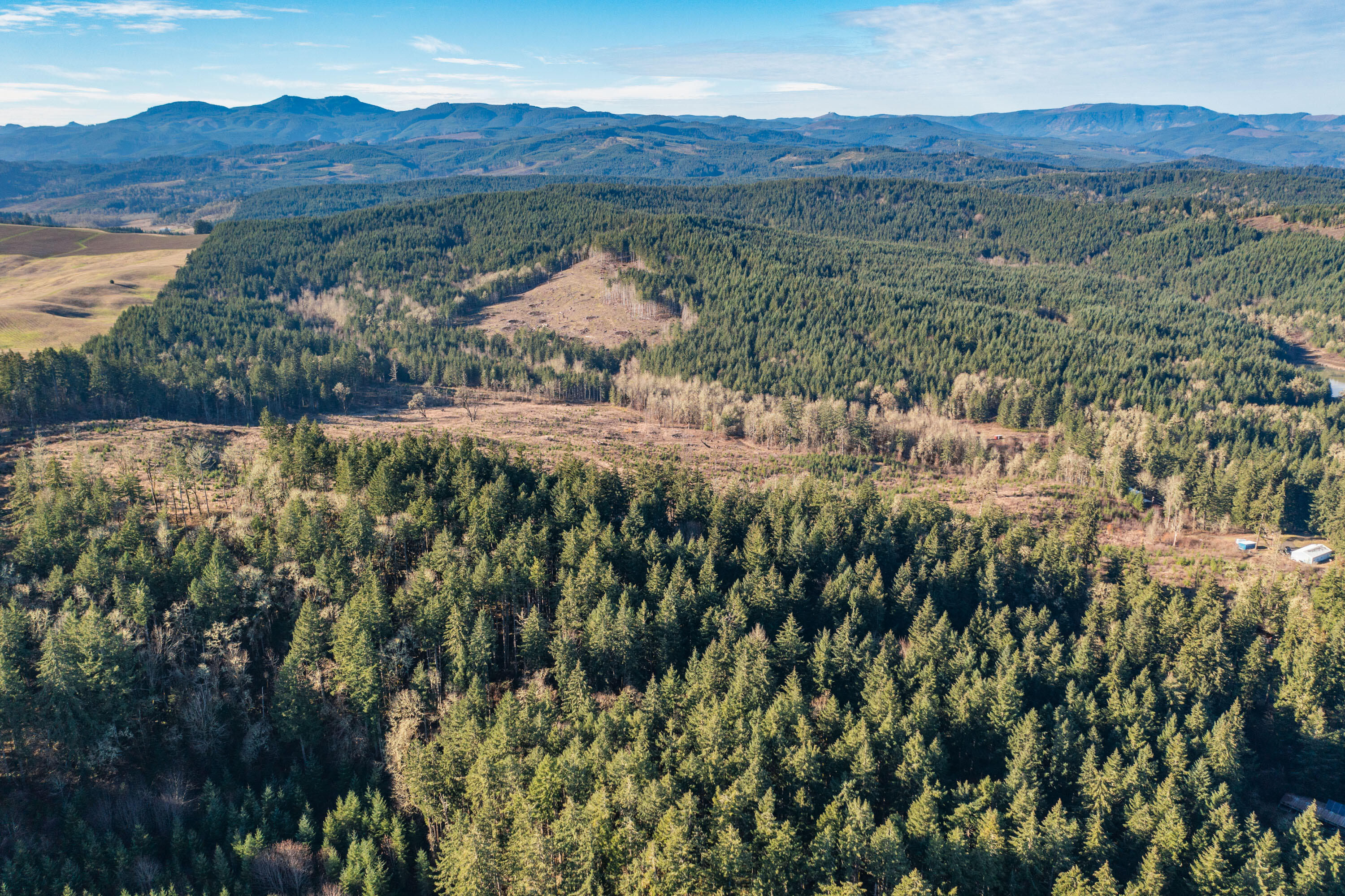 0 Airlie Road Monmouth, OR 97361 - Photo 28 of 33 Export-0883