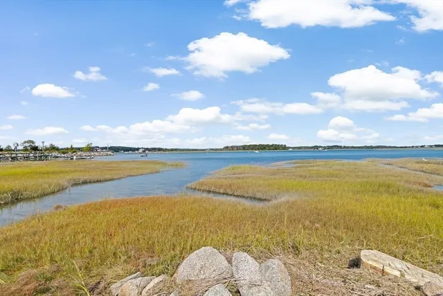 a aerial view of a house with a big yard and large trees