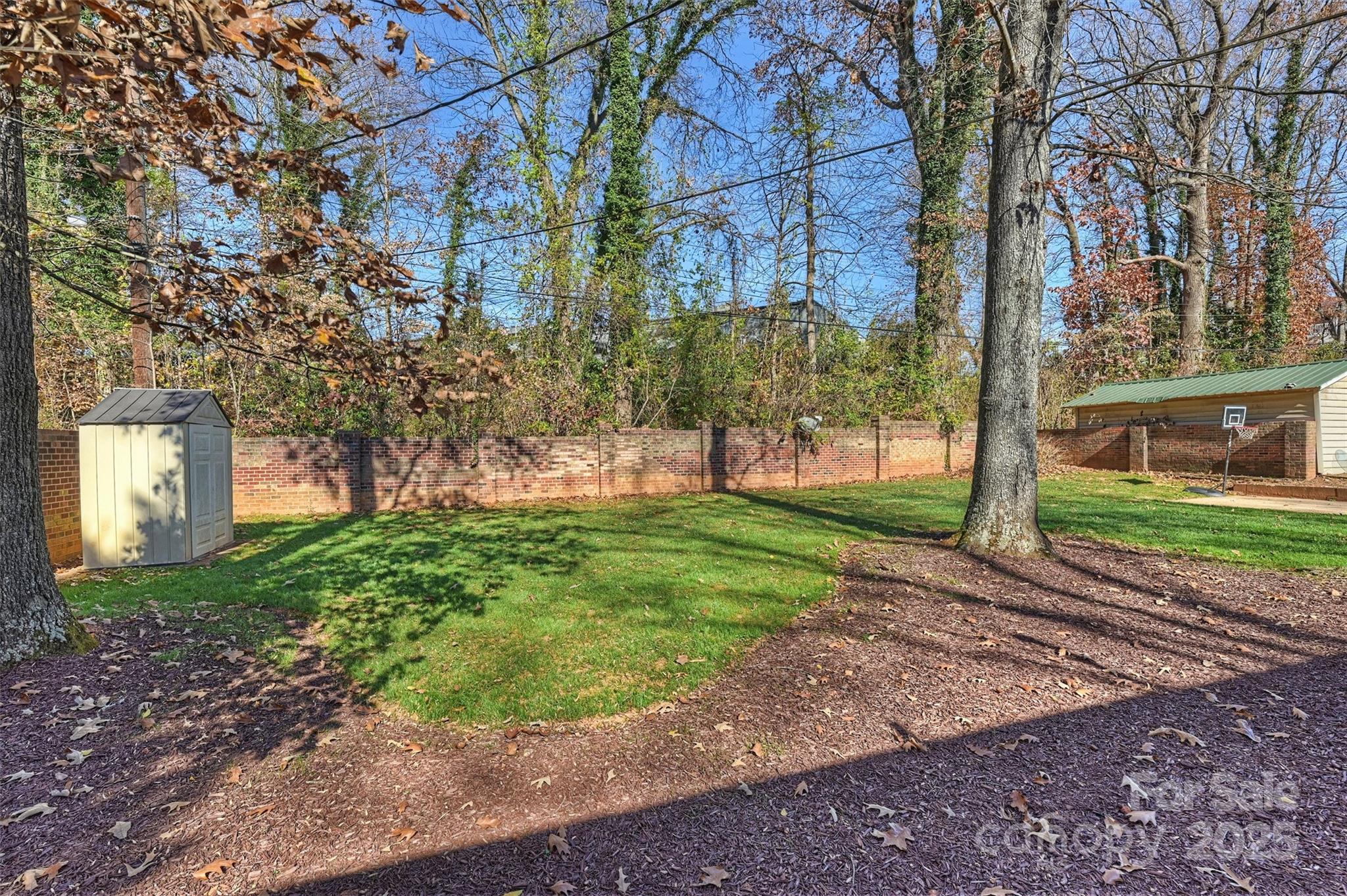 2730 Royston Road Charlotte, NC 28208 - Photo 38 of 40 a view of a yard with plants and trees