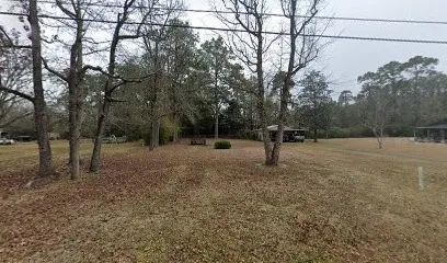a view of a forest with trees