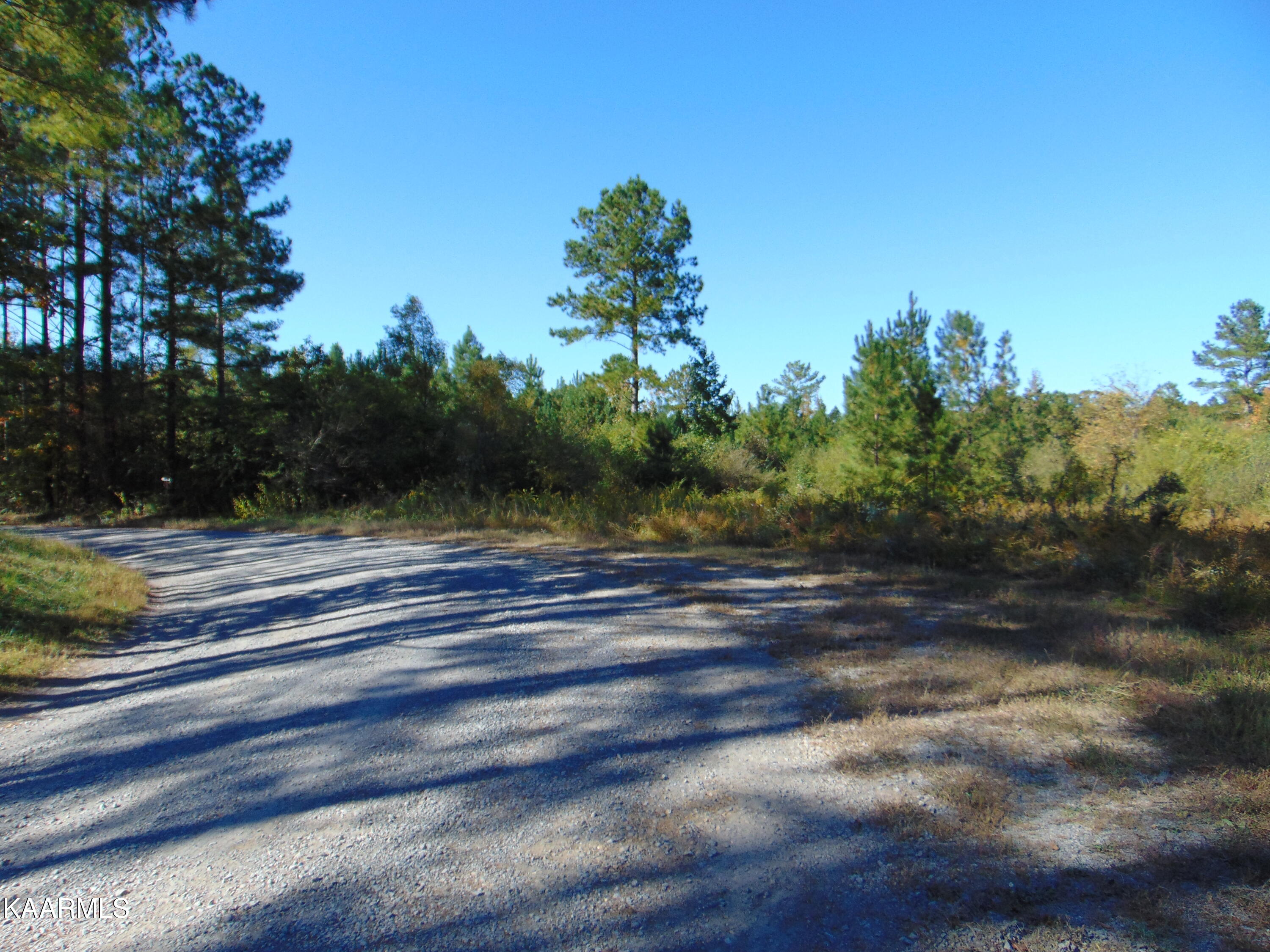 Tract 2-e-8 Tract 2-e-8 Charles Road Decatur, TN 37322 - Photo 2 of 6 DSC01604