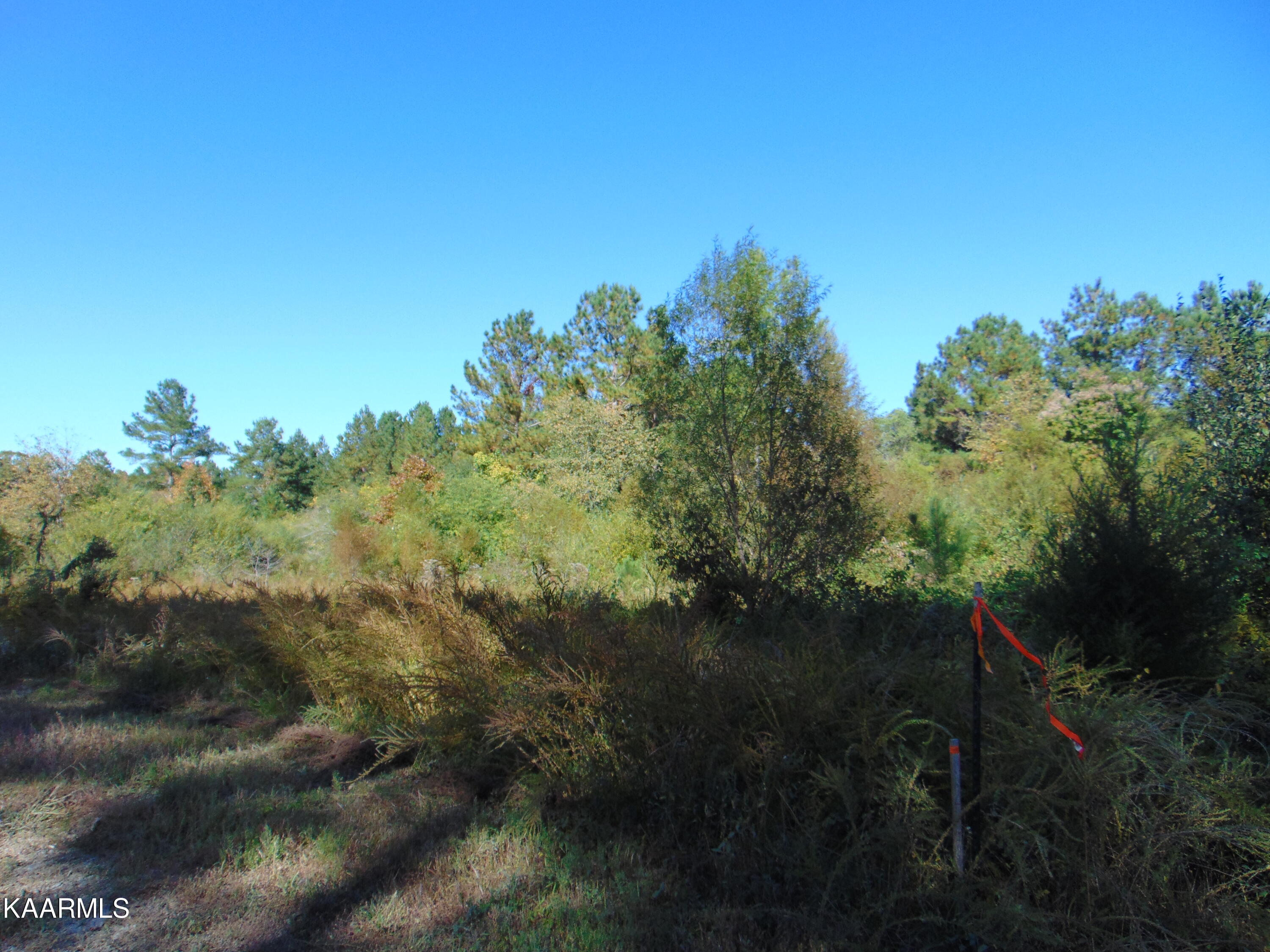 Tract 2-e-8 Tract 2-e-8 Charles Road Decatur, TN 37322 - Photo 3 of 6 DSC01605