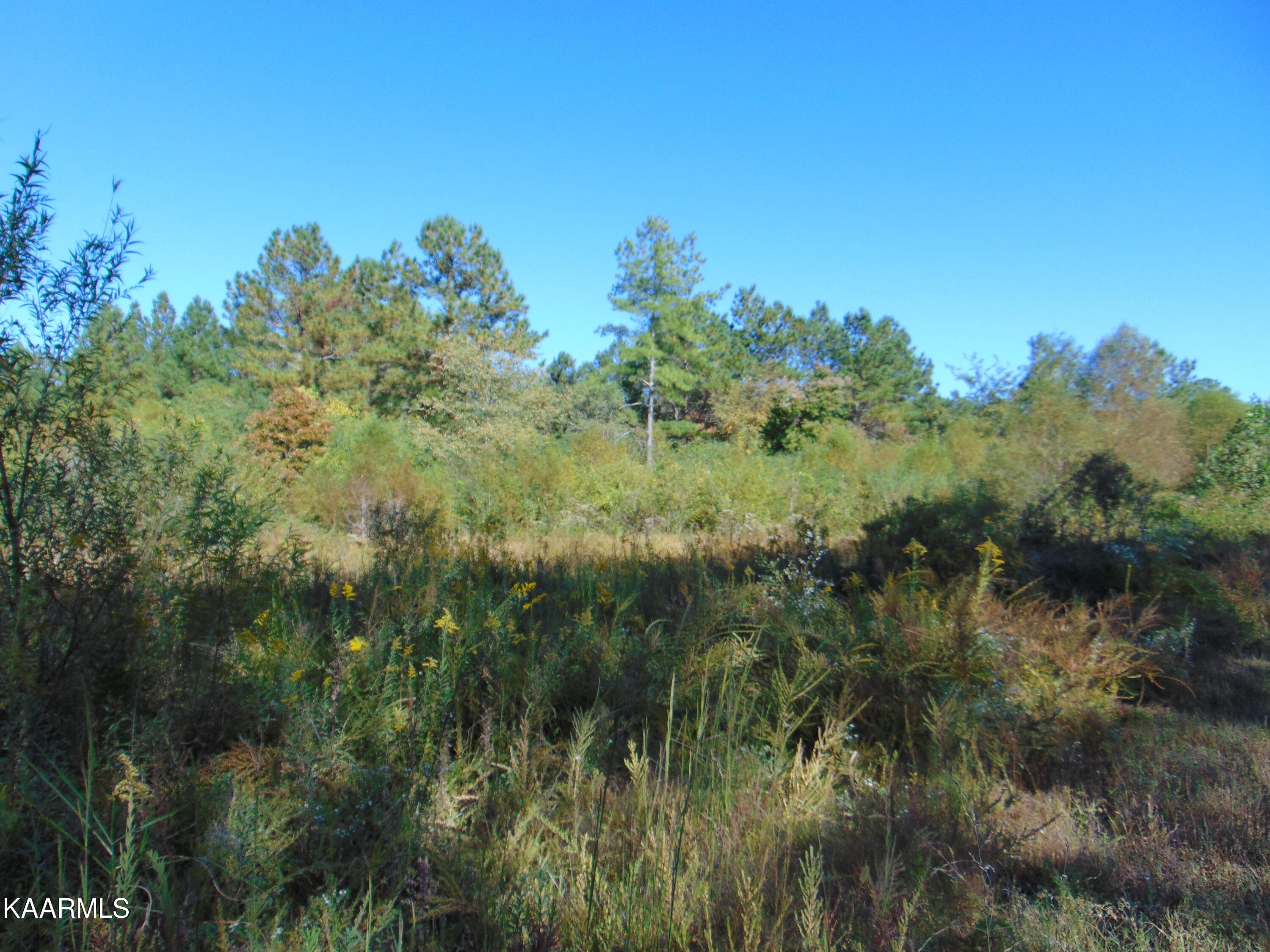 Tract 2-e-8 Tract 2-e-8 Charles Road Decatur, TN 37322 - Photo 4 of 6 DSC01606