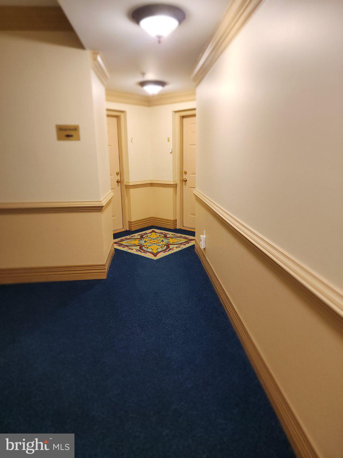 2001 Connor Court, Unit 704D Bowie, MD 20721 - Photo 3 of 33 Inviting corridor with vibrant tile.