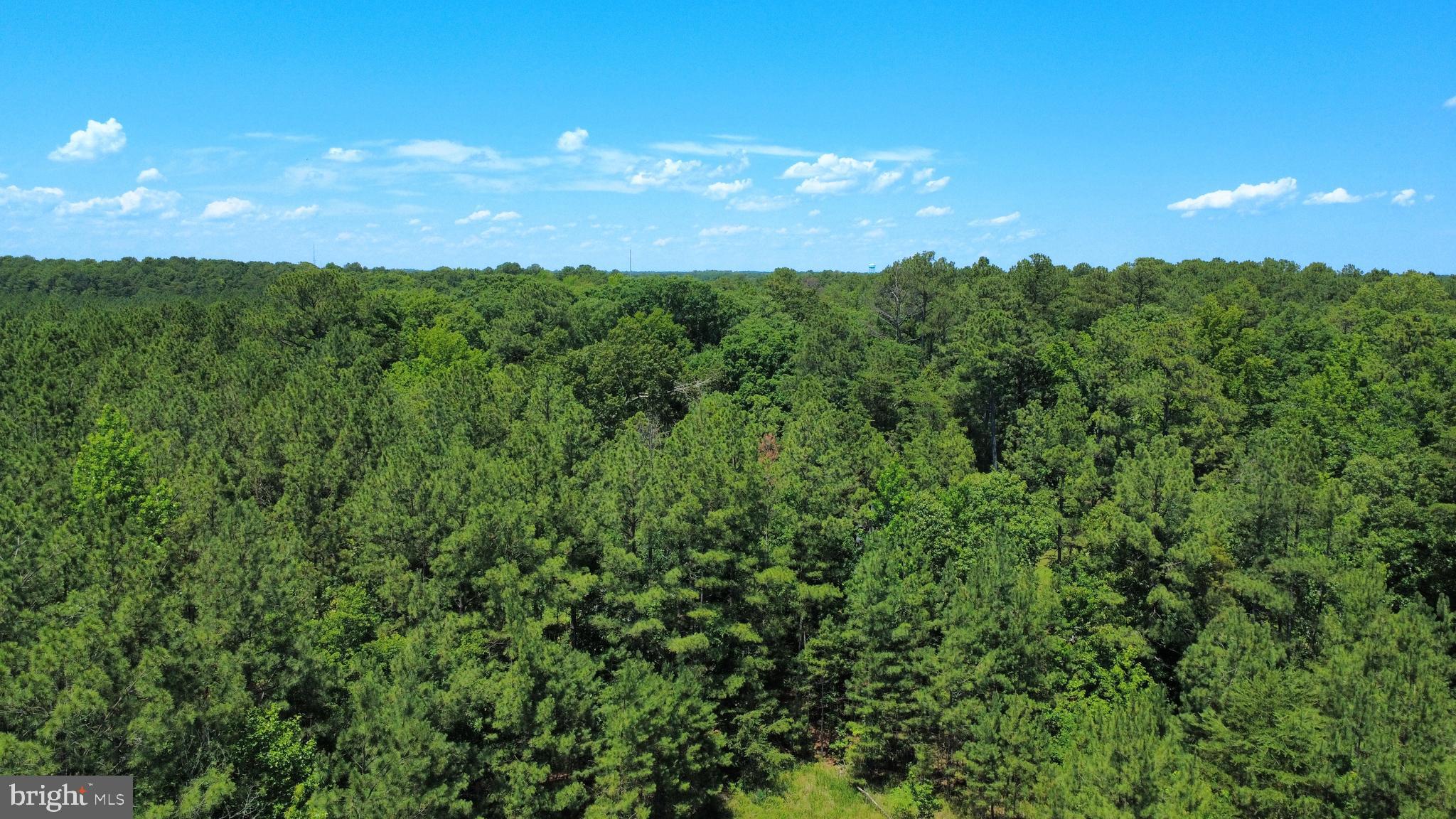 Whirlwind Road Leonardtown, MD 20650 - Photo 8 of 17