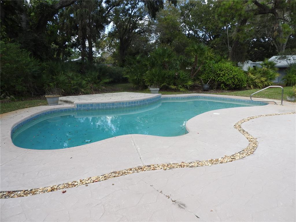 8308 Beasley Road Tampa, FL 33615 - Photo 14 of 49 a view of a swimming pool and trees in the background