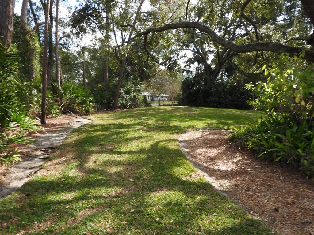 8308 Beasley Road Tampa, FL 33615 - Photo 19 of 49 a view of a yard with a tree