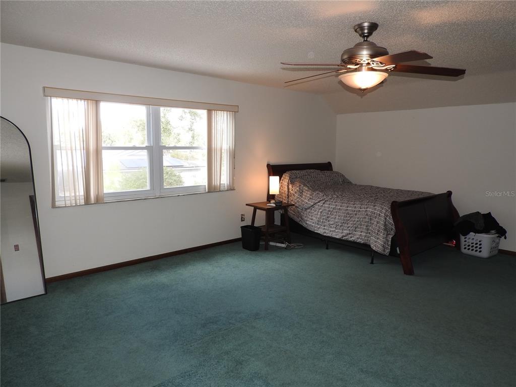 8308 Beasley Road Tampa, FL 33615 - Photo 45 of 49 a bed room with a bed and a window
