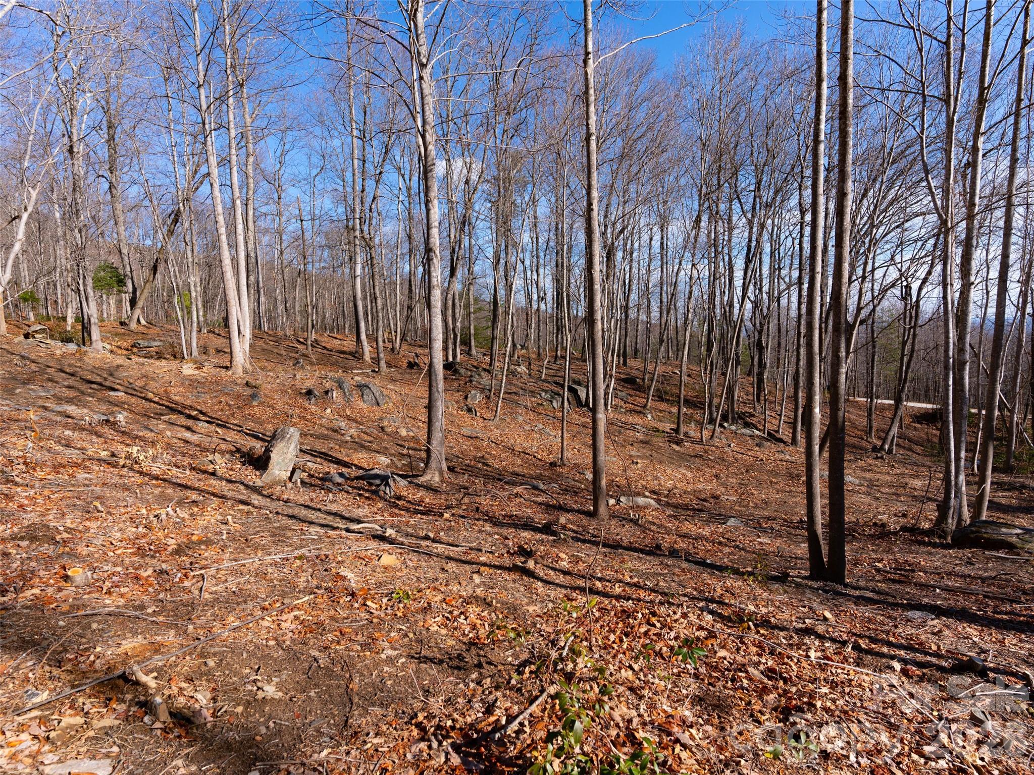 220 Chesterfield Drive Mill Spring, NC 28756 - Photo 12 of 34 a backyard of a house with lots of green space