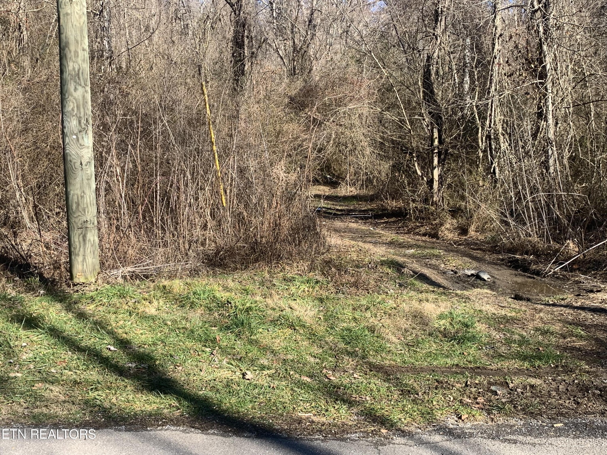 0 Mt Olive Road Andersonville, TN 37705 - Photo 1 of 1 a view of a yard with plants and wooden fence