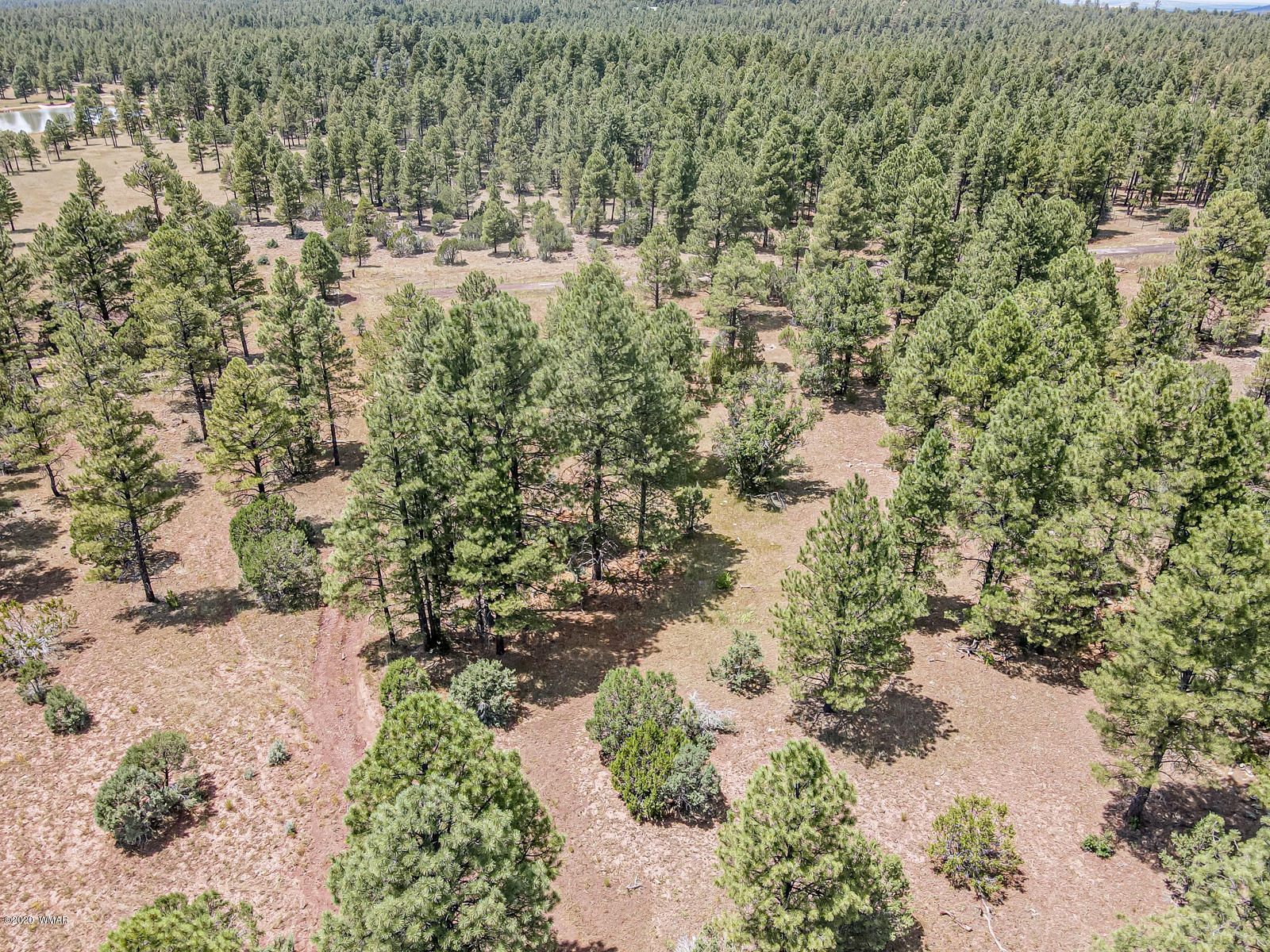 Tbd Tbd Lone Horseman Road Pinetop, AZ 85935 - Photo 11 of 15