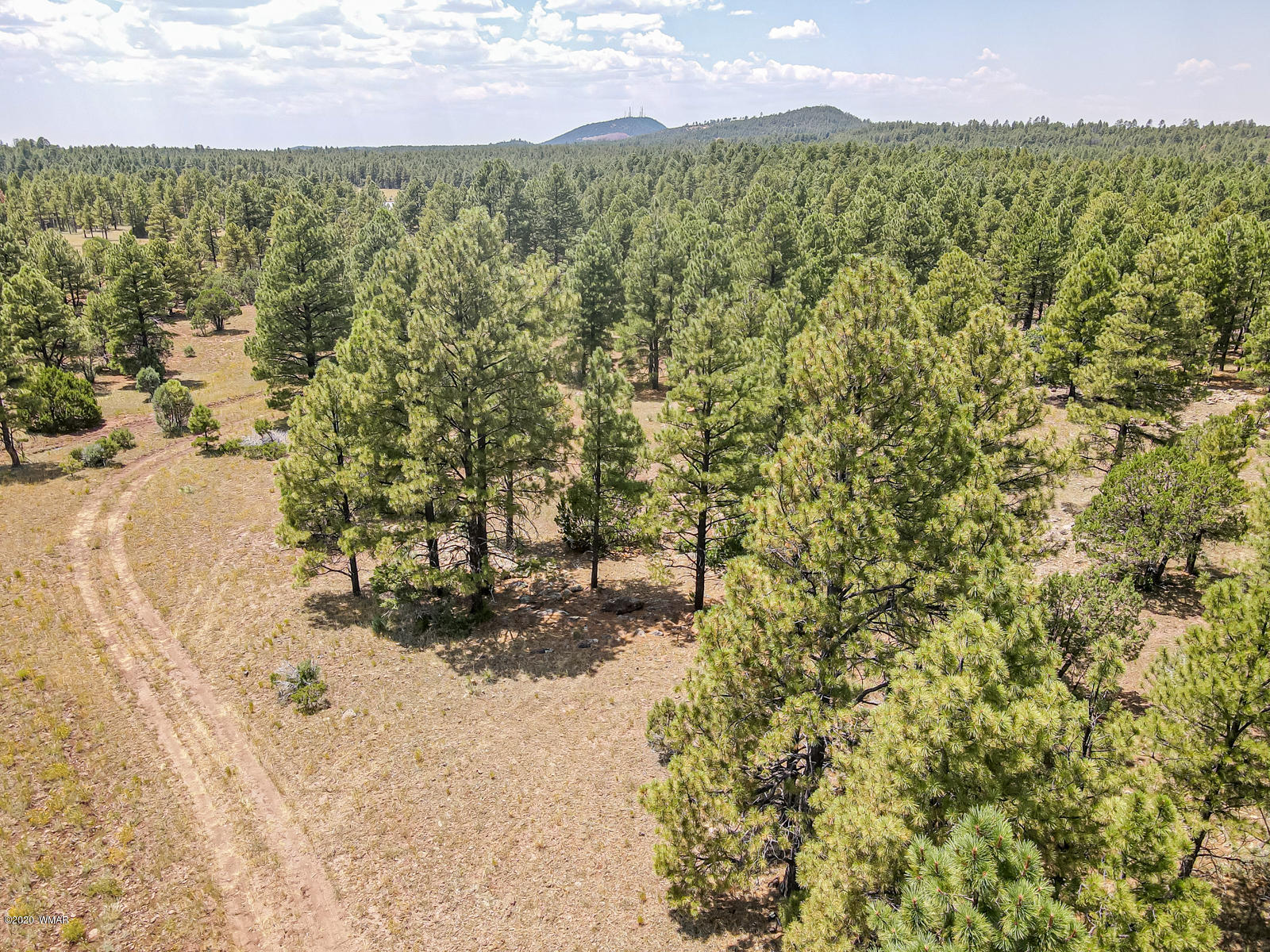 Tbd Tbd Lone Horseman Road Pinetop, AZ 85935 - Photo 12 of 15