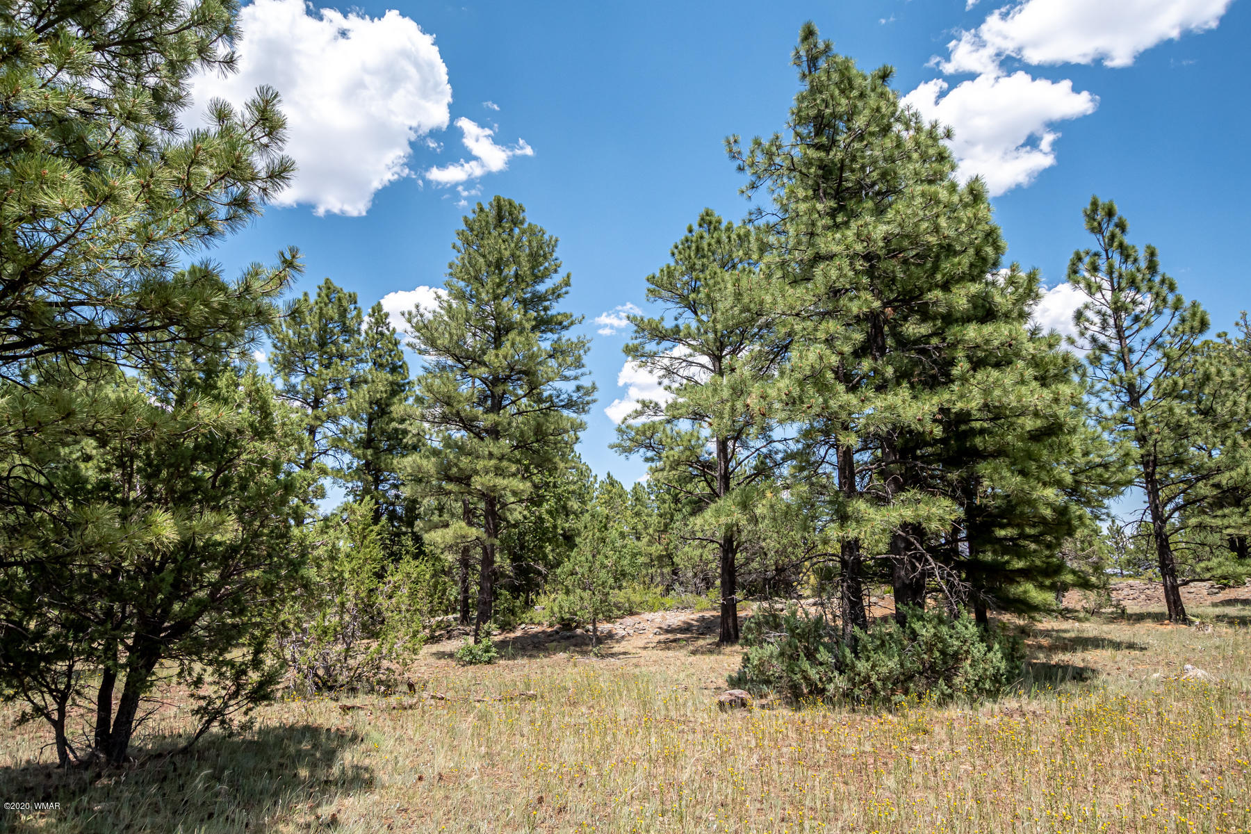 Tbd Tbd Lone Horseman Road Pinetop, AZ 85935 - Photo 13 of 15